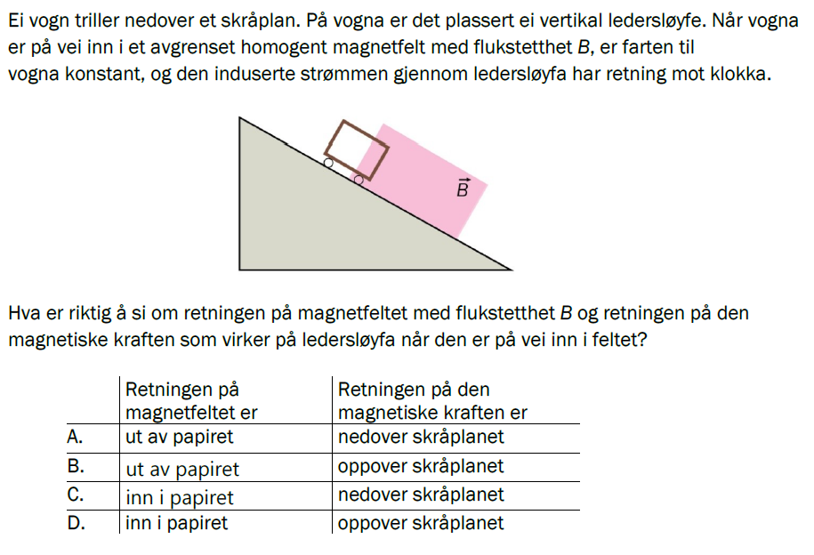 Flervalgsoppgave V23, oppgave 1m – Induksjon
